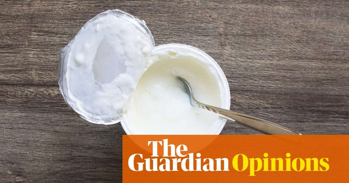 Dear Santa, please bring back the plastic lids on yoghurt pots | Adrian Chiles