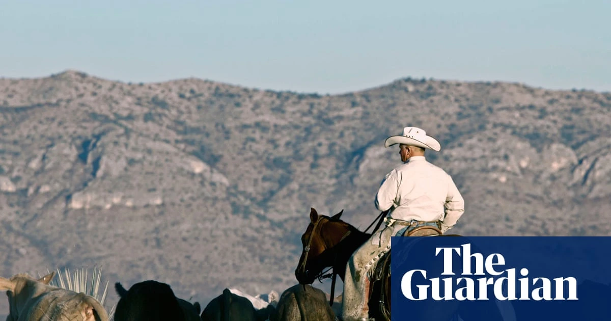 Labor lifts ban on US beef, saying new measures ‘effectively’ manage biosecurity risks