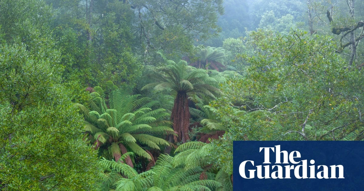 Climate plans of Australian companies would be exempt from private litigation for three years under proposal