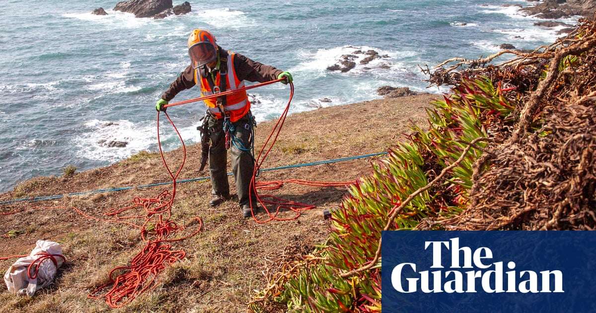 Lizard peninsula recovery project aims to save ‘microhabitats’