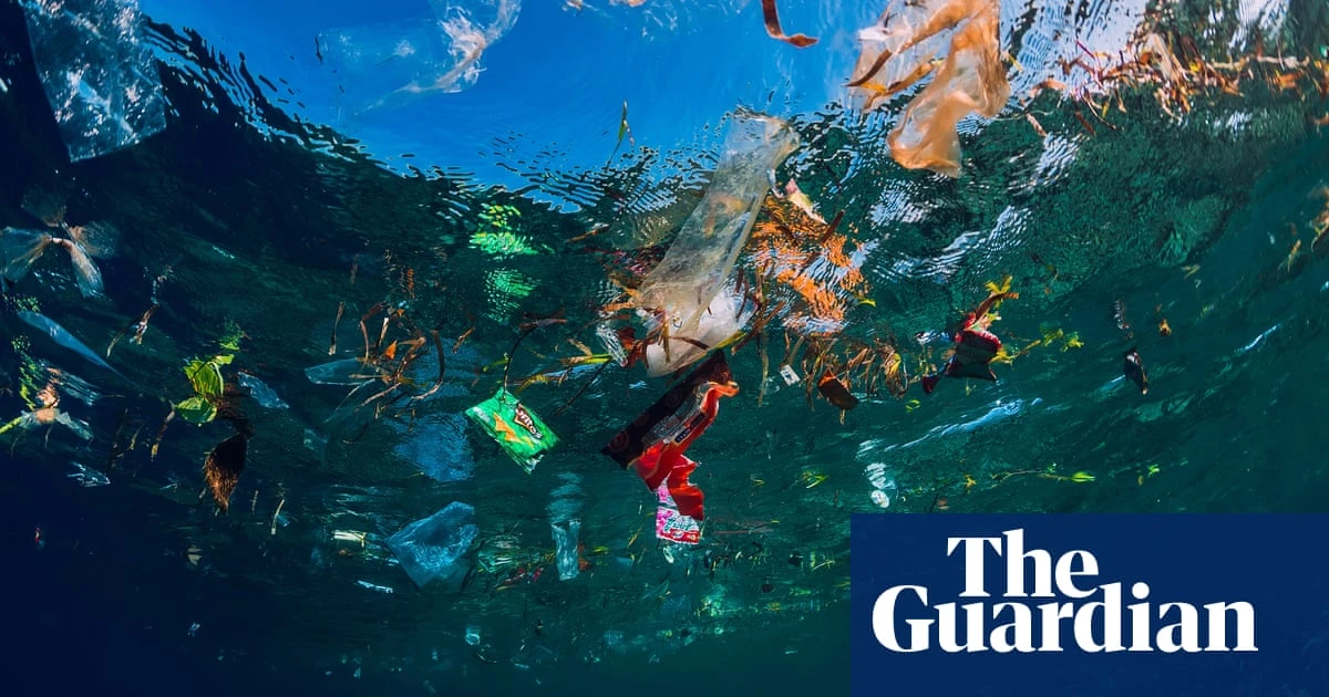 Plastics campaigners warn Australia’s pledge at UN needs to be matched with ‘high ambition at home’