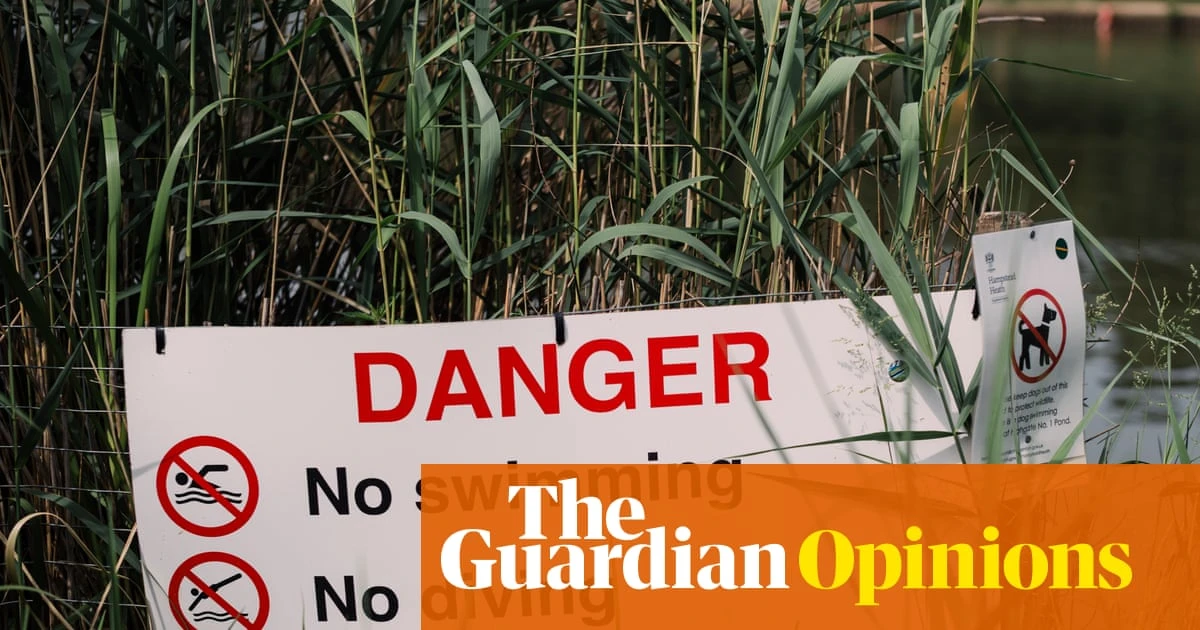 The row at Hampstead Heath is about far more than a few thoughtless swimmers in a heatwave | Rhiannon Lucy Cosslett