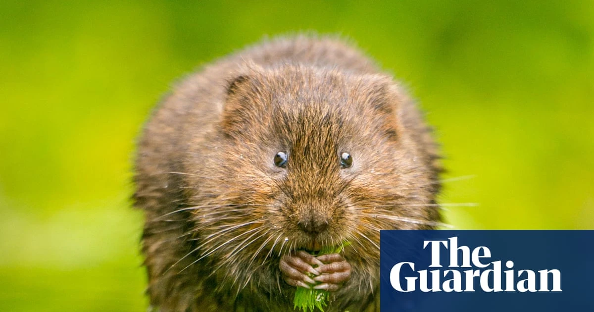 Fears for England riverbank habitats amid relaxed post-Brexit rules