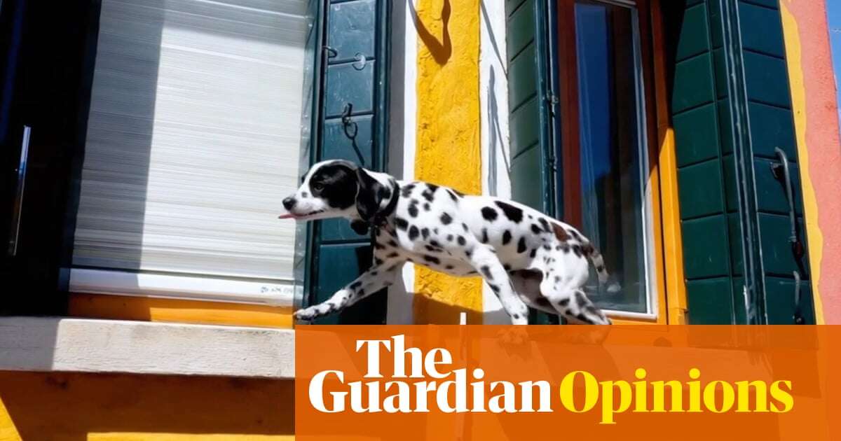 Video is AI’s new frontier – and it is so persuasive, we should all be worried | Victoria Turk