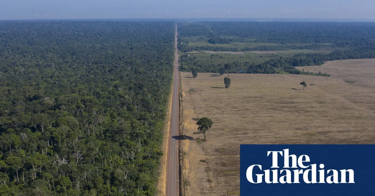 Brazil authorities suspend key Amazon rainforest protection measure