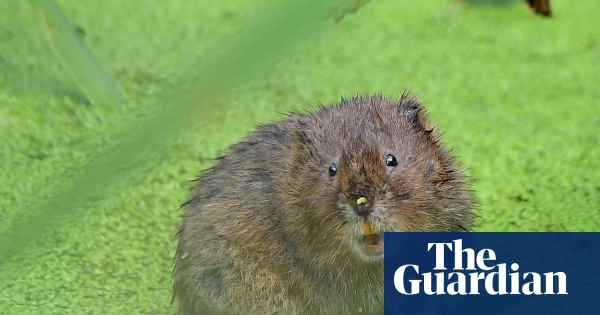 Natural England hails recovery of 150 struggling species