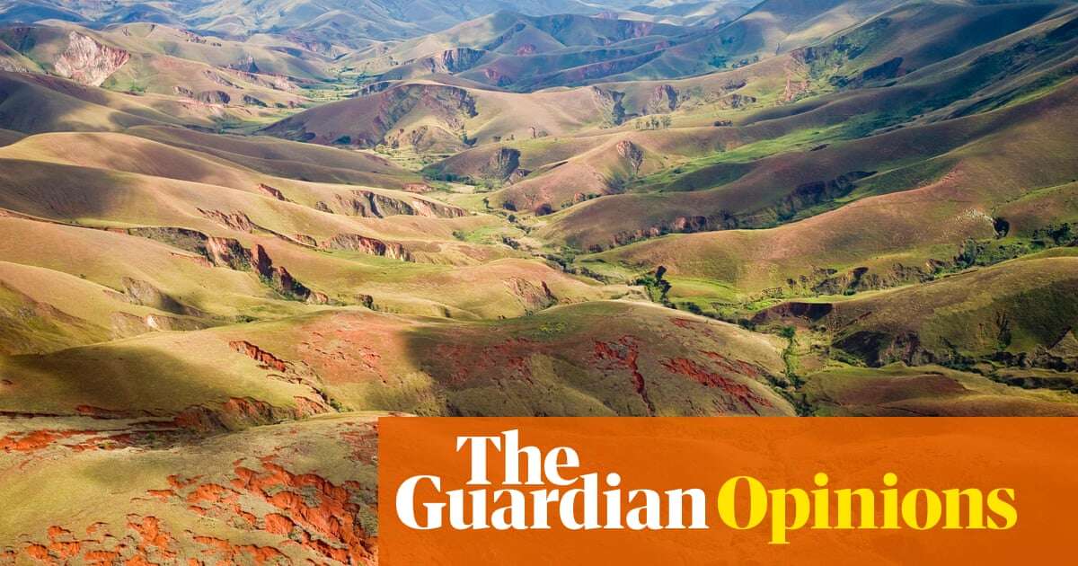 From drones to genomics, science can help fight extinction: that work must begin at Cop16  | Angela McLean