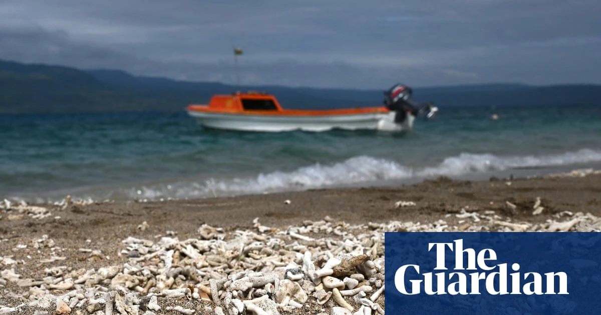 Healthy environment is a human right, top UN court rules