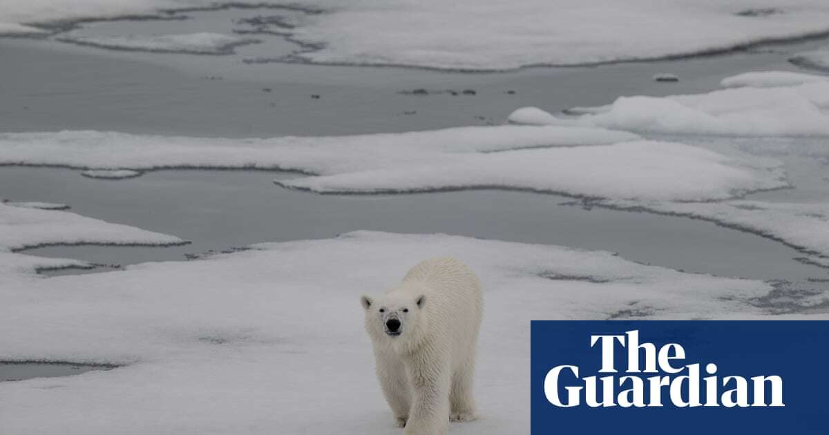 Ice-free summers in Arctic possible within next decade, scientists say