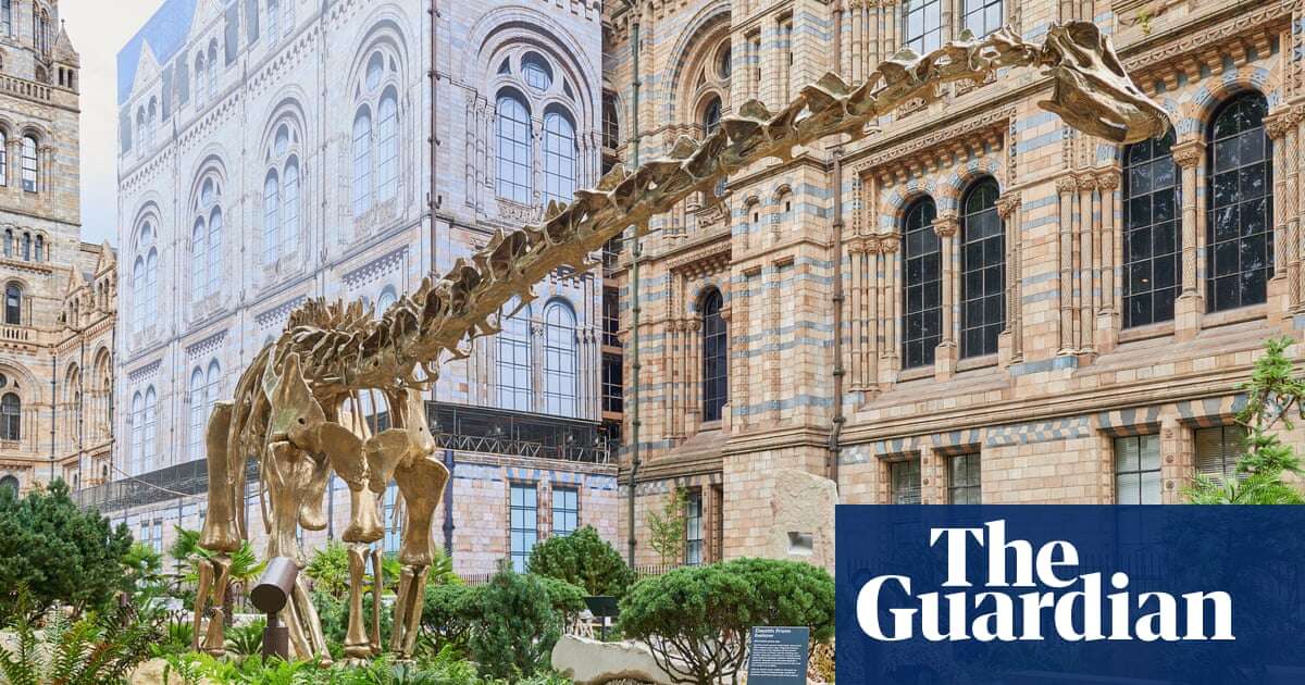 Natural History Museum plans revamp to become climate ‘catalyst for change’