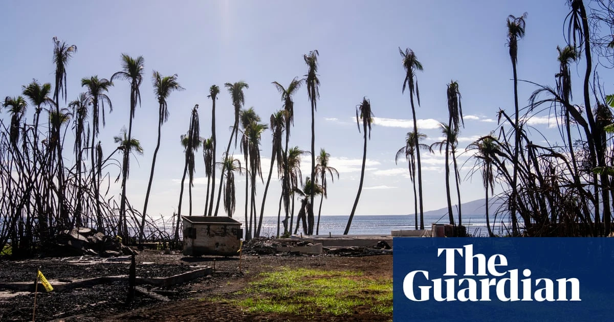 Nearly 15% of Americans don’t believe climate change is real, study finds