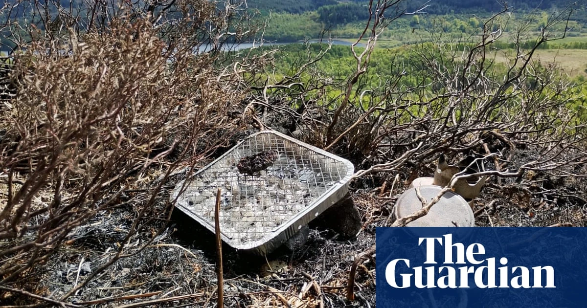 Children injured, wildlife slaughtered, forests ravaged: is it time to ban disposable barbecues?