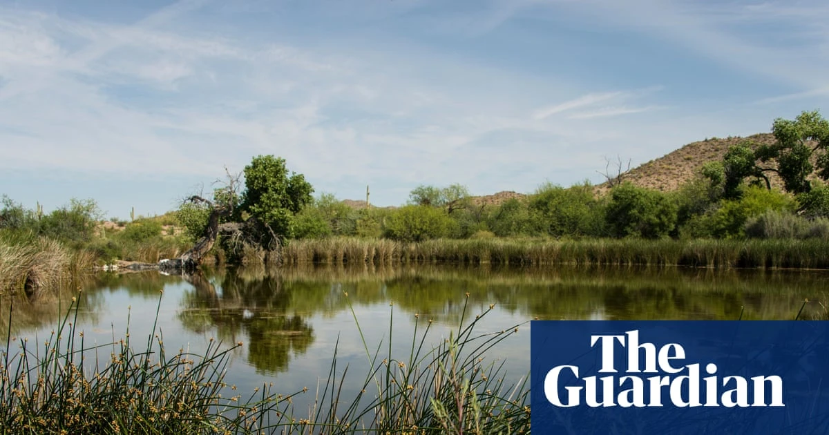 ‘Total chaos’: the biological wonderland threatened by Trump’s border wall