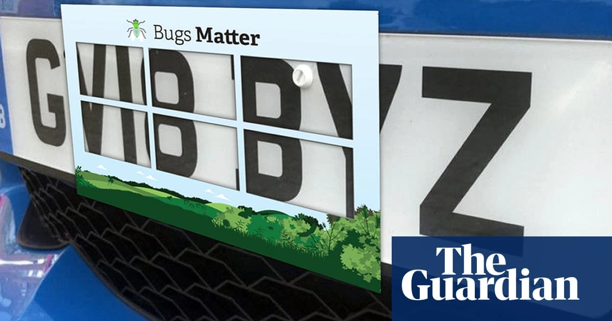‘Alarming’ bug splat decline on UK cars raises fears for flying insect numbers