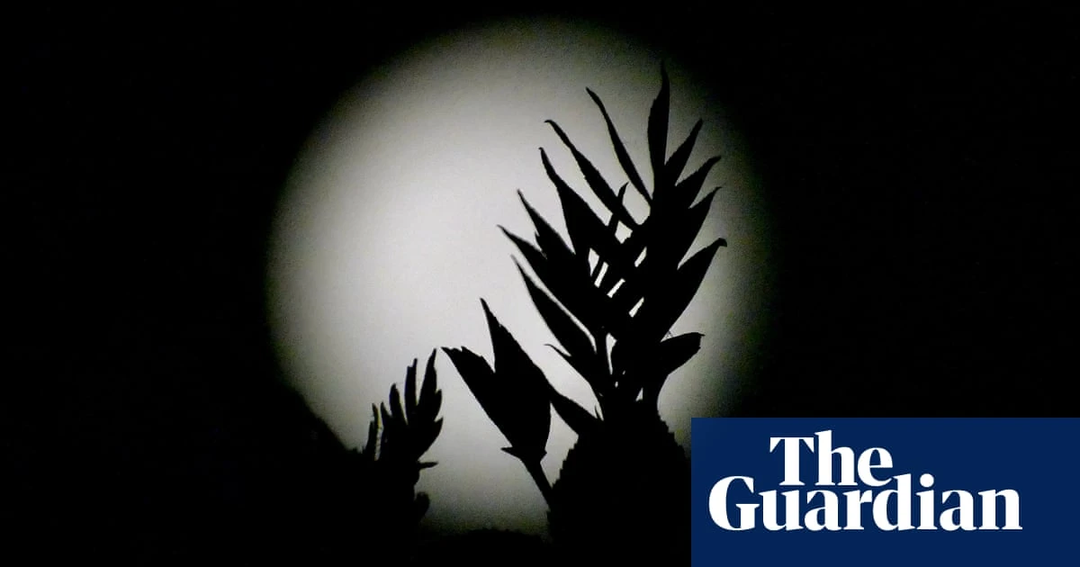 Scientists propose lunar biorepository as ‘backup’ for life on Earth