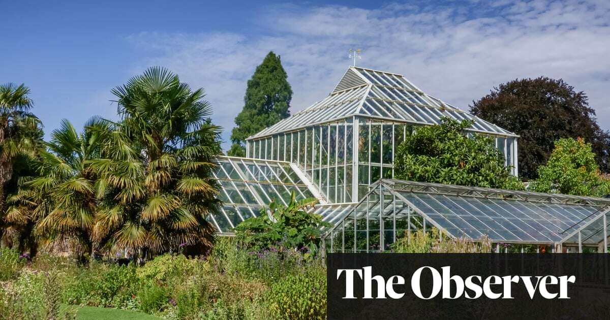 ‘The risk of extinction is accelerating’: world’s botanic gardens raise alarm with space to protect endangered plants running out