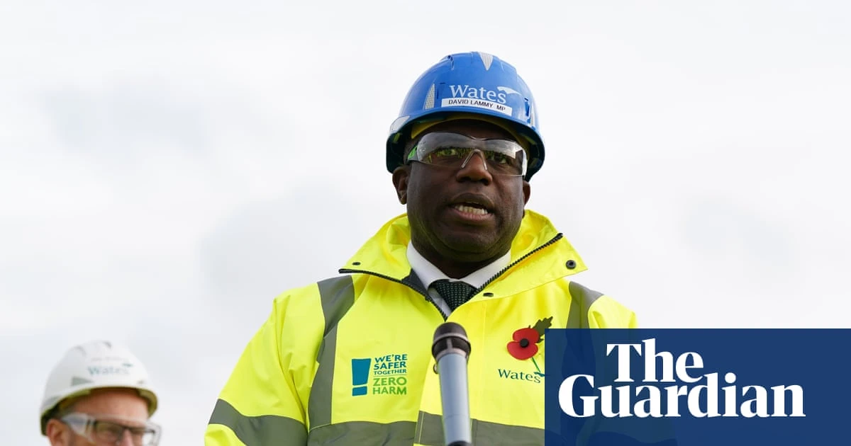 Lammy says he was right not to discuss mistakenly freed prisoner at PMQs