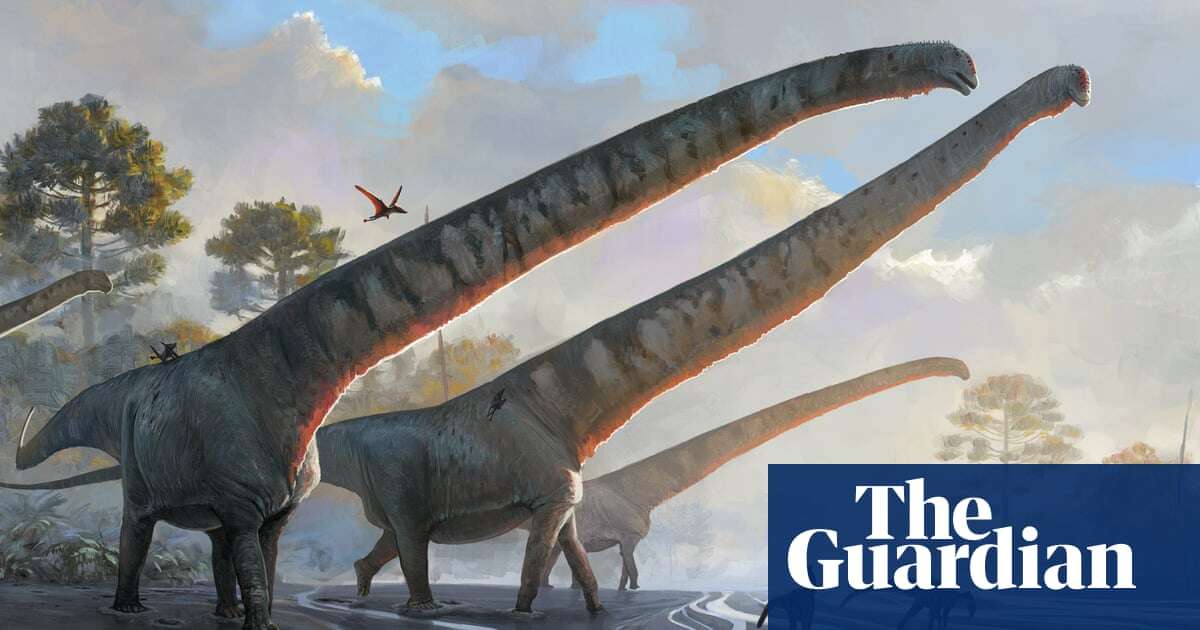 Biology ‘Gargantuan’: China fossils reveal 70-tonne dinosaur had 15m neck