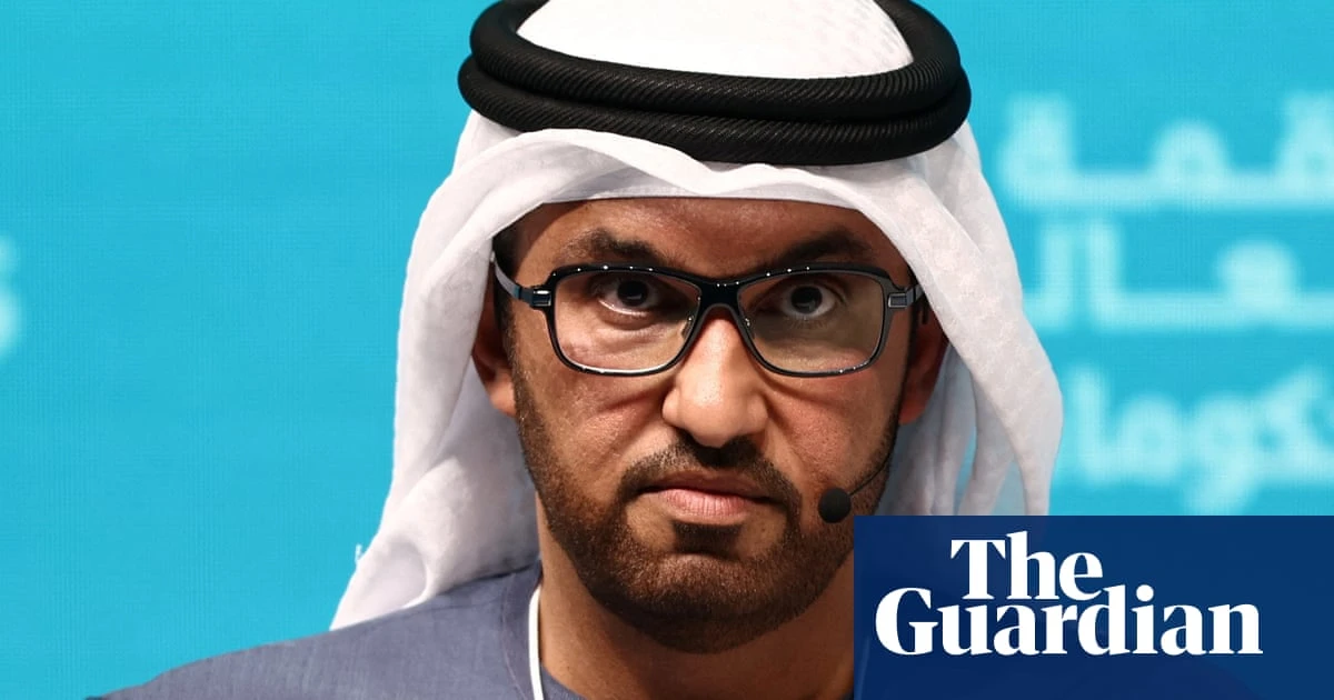 ‘Energy turmoil’ looms unless demand is checked, says Cop28 president