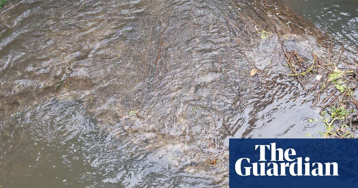 UK rivers contain ‘cocktail of chemicals and stimulants’ endangering aquatic life