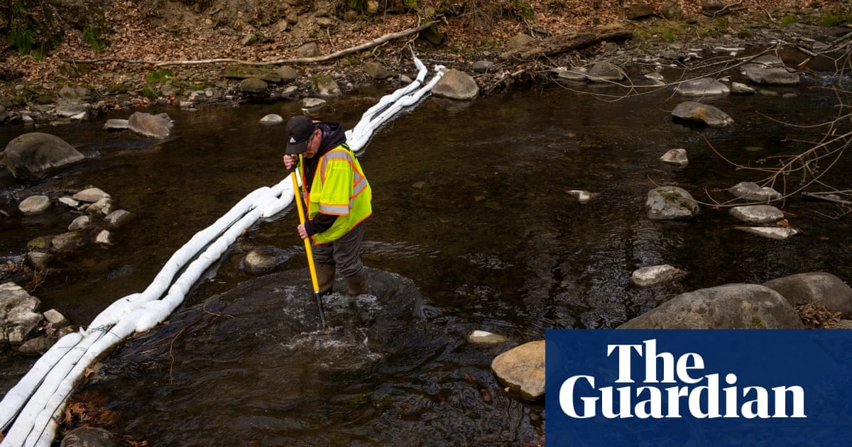 ‘I applaud the EPA’: agency launches formal review of five toxic chemicals