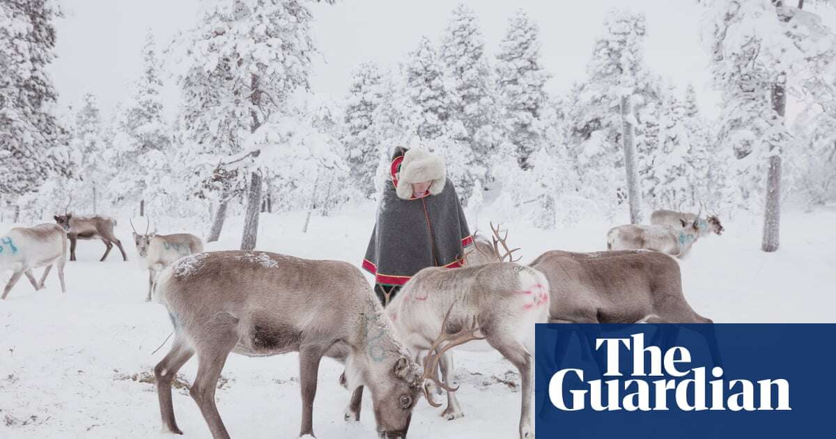 Agreements between Sámi reindeer herders and developers do more ‘harm’ than good