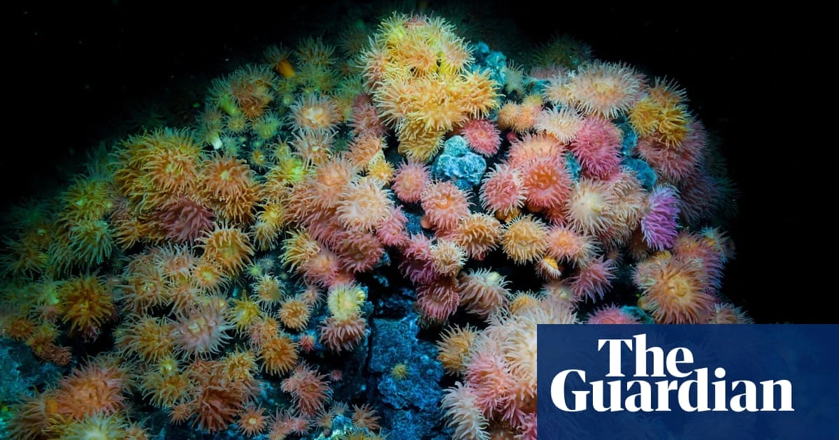 Norway sued over deep-sea mining plans