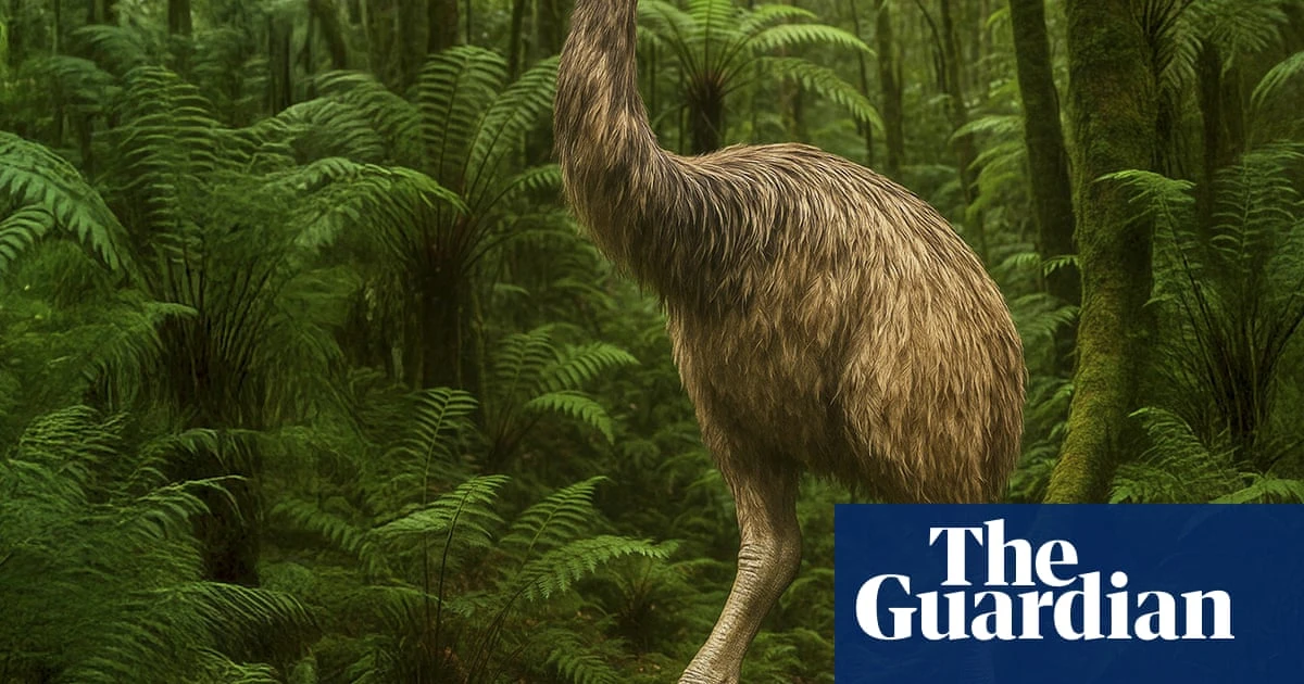 It’s 12ft tall, covered in feathers and has been extinct for 600 years – can the giant moa bird really be resurrected?