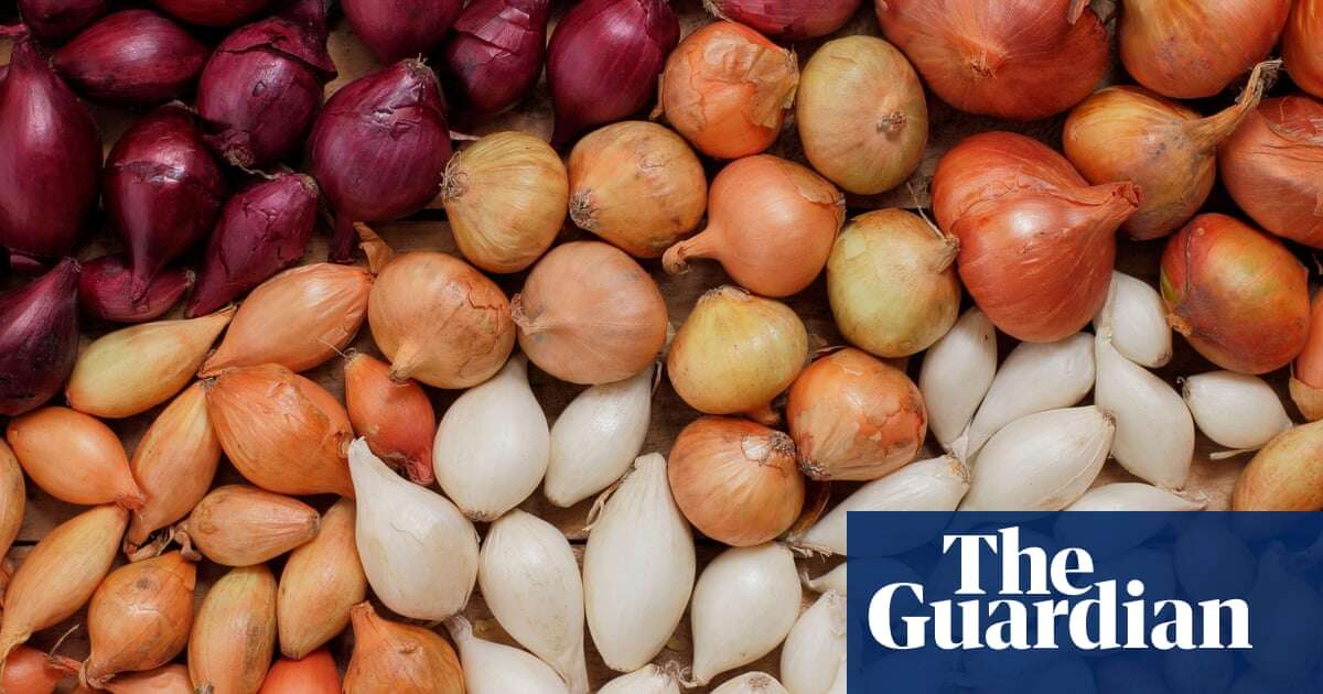 Can’t wait for spring to get growing in the garden? Then make sure you know your onions