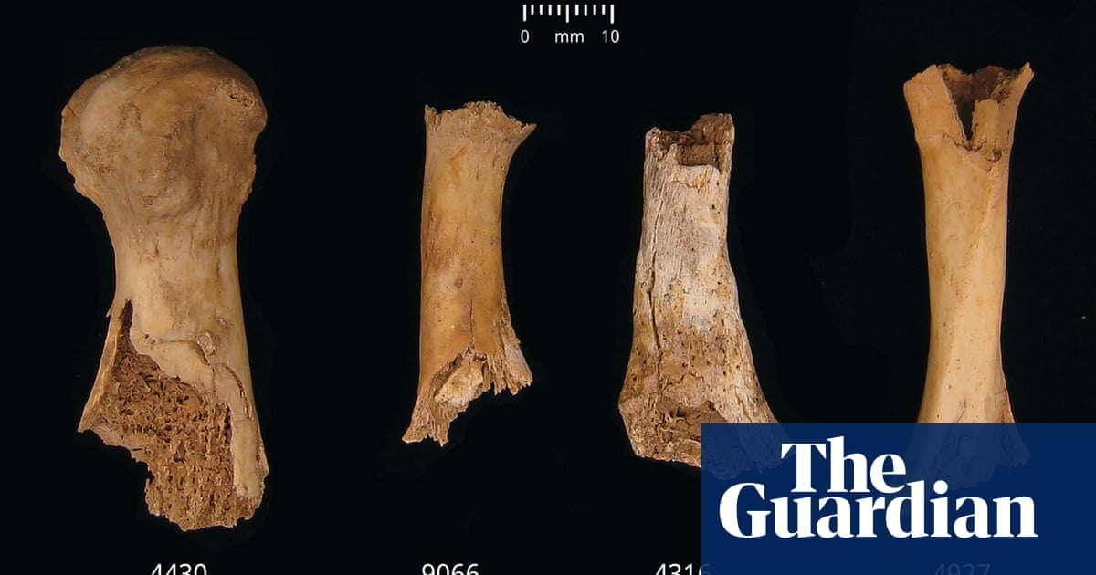 ‘Something horrible’: Somerset pit reveals bronze age cannibalism