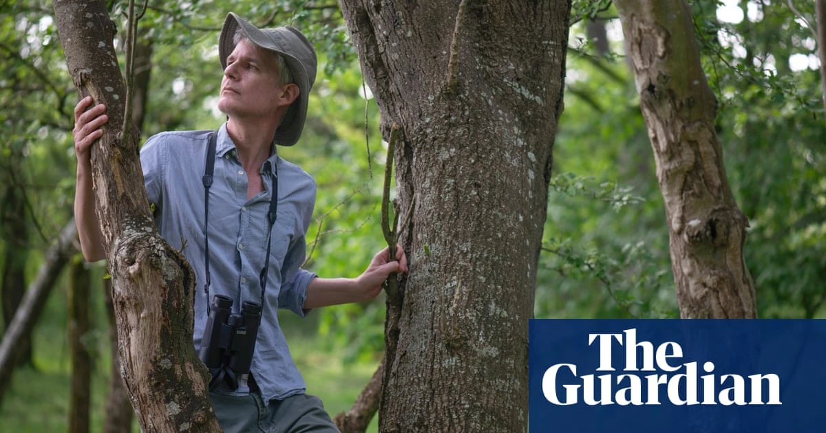 The world is getting hotter. Could helping England’s trees migrate northwards protect them?