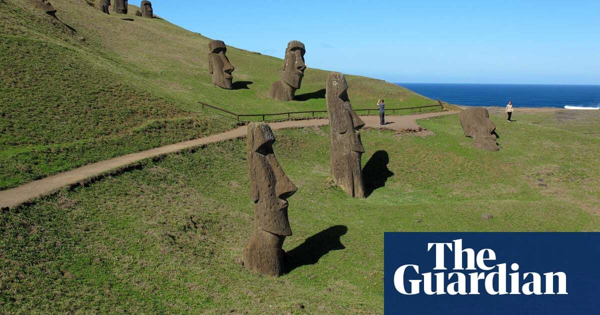 ‘The last plant left’: can Rapa Nui’s extinct tree be resurrected?