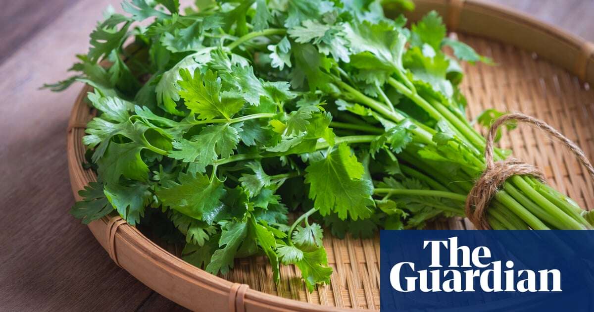 Are there any alternatives to fresh coriander? I hate the stuff | Kitchen aide