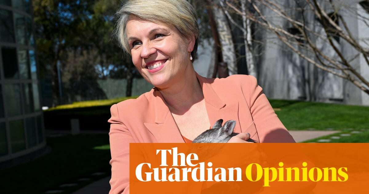 The environment was meant to be ‘back on the priority list’ under Labor. Instead, we’ve seen a familiar story | Adam Morton