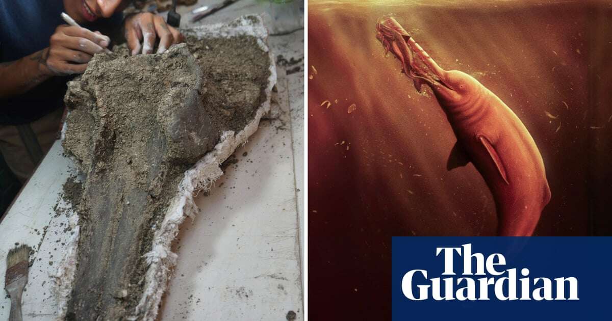 Scientists find skull of enormous ancient dolphin in Amazon