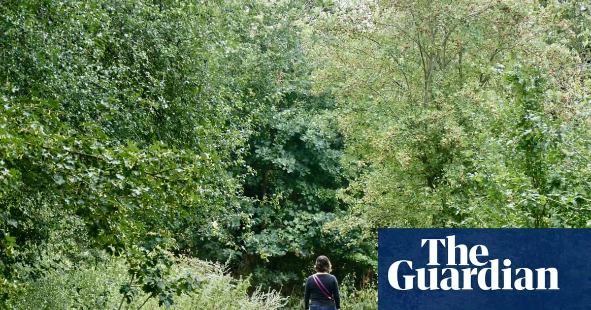 Human connection to nature has declined 60% in 200 years, study finds