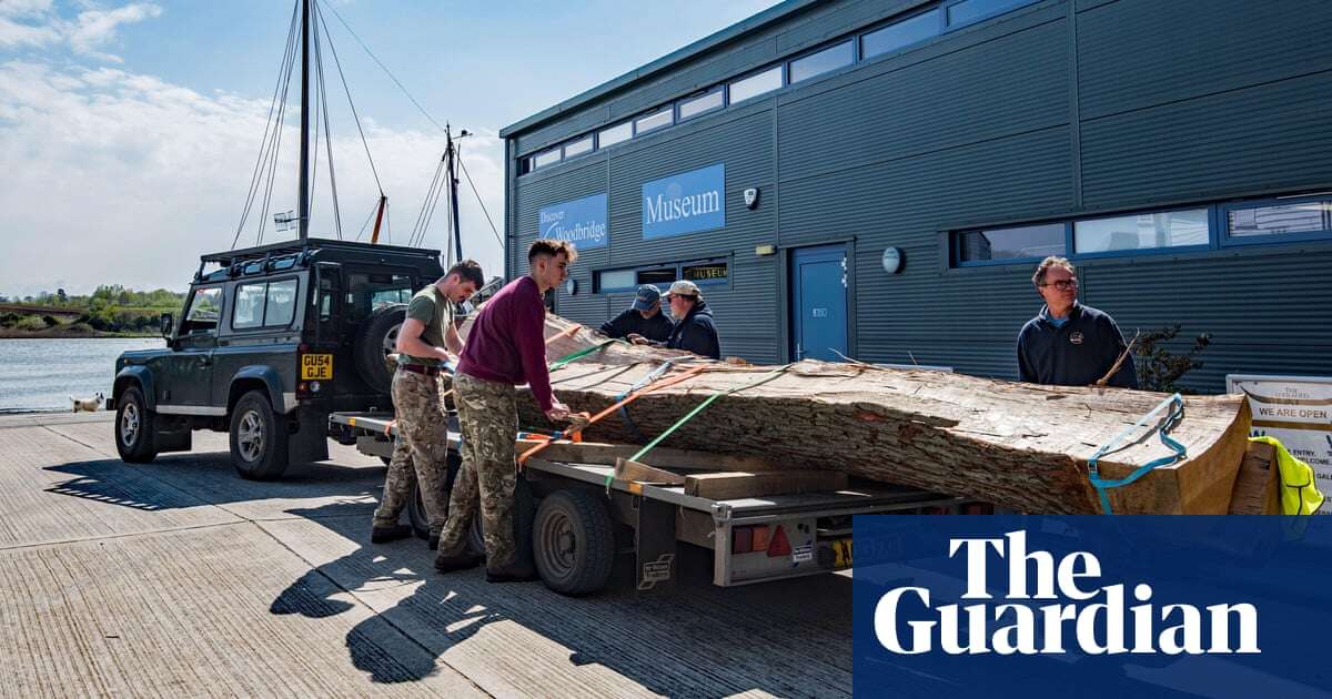 ‘They must be somewhere’: appeal for British oak to recreate Sutton Hoo ship