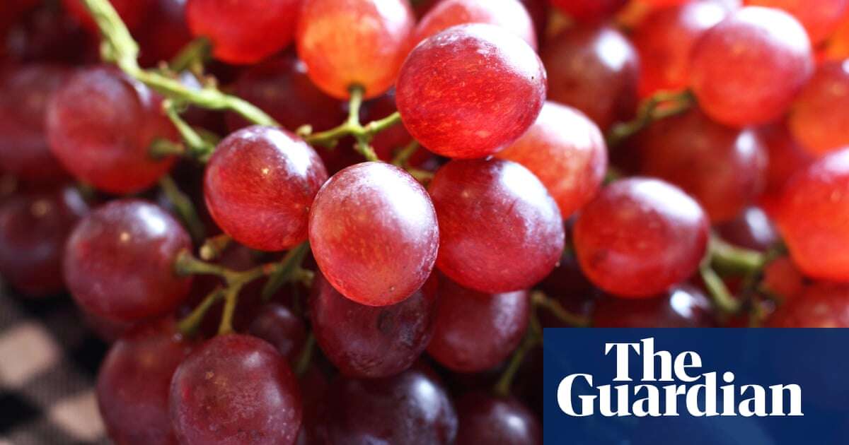 UK trial to assess if red grape chemical can prevent bowel cancer