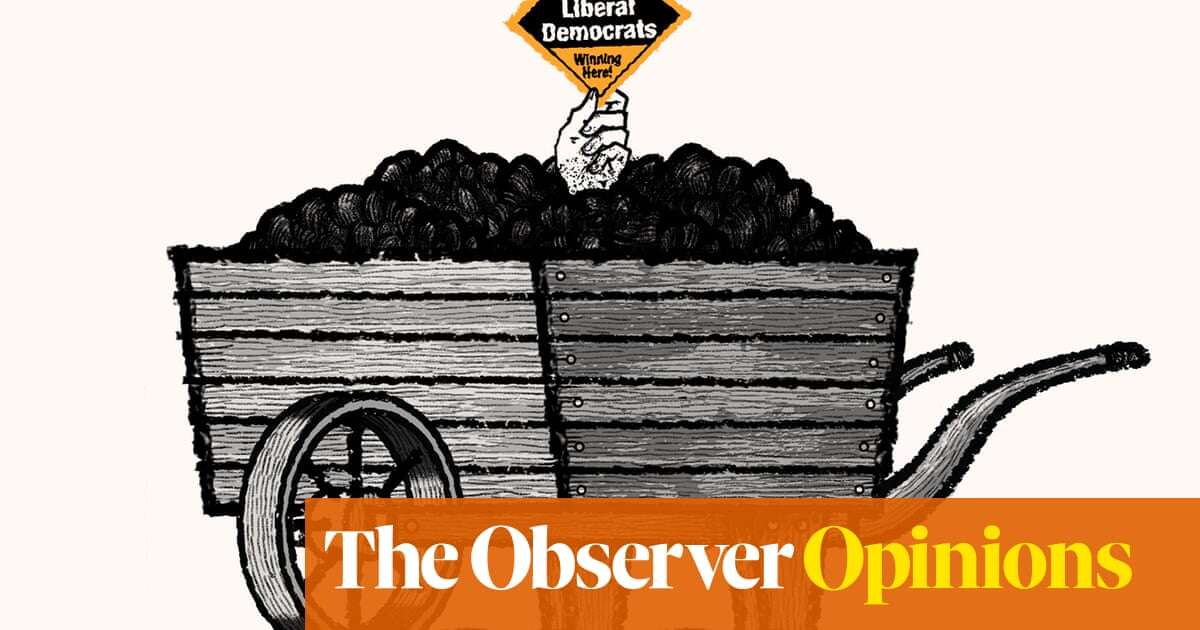 The Lib Dems have prospered by swapping values for jet skis | David Mitchell