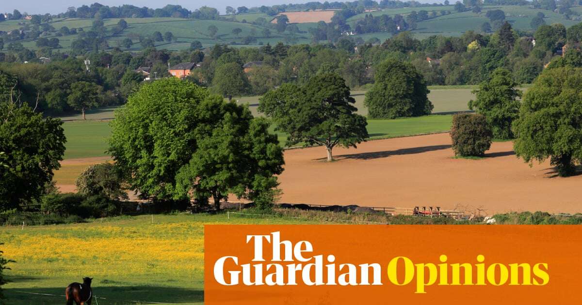 Pylons rule and rural beauty is up for sale. Why do those in power so hate the countryside? | Simon Jenkins