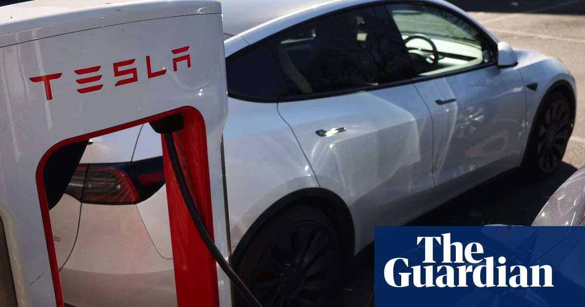 Tesla’s UK sales rise despite threat of backlash over Musk’s political role