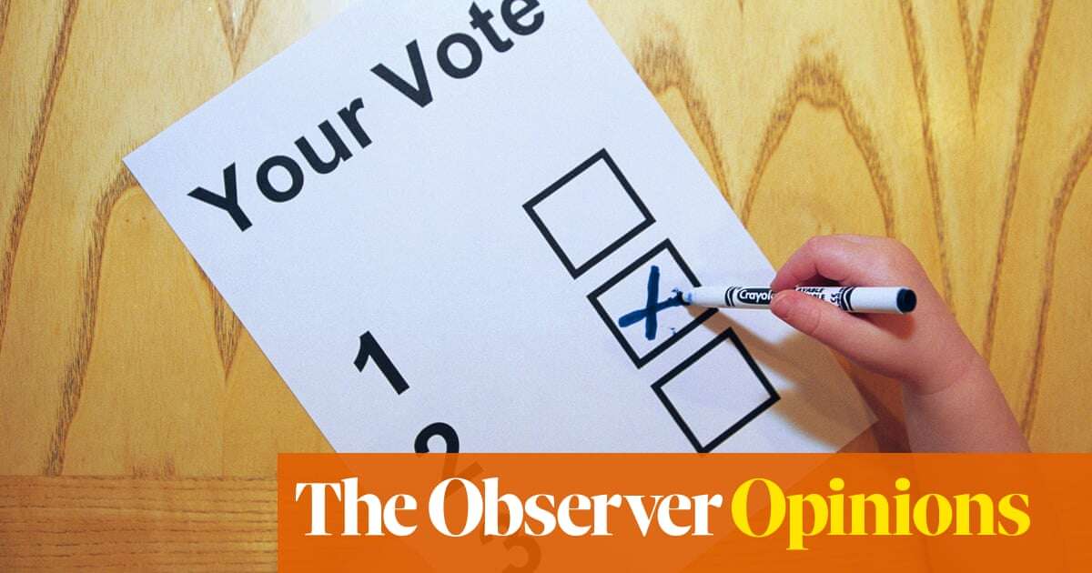 I’m hoping my son, aged five, has the makings of a political commentator | Séamas O'Reilly