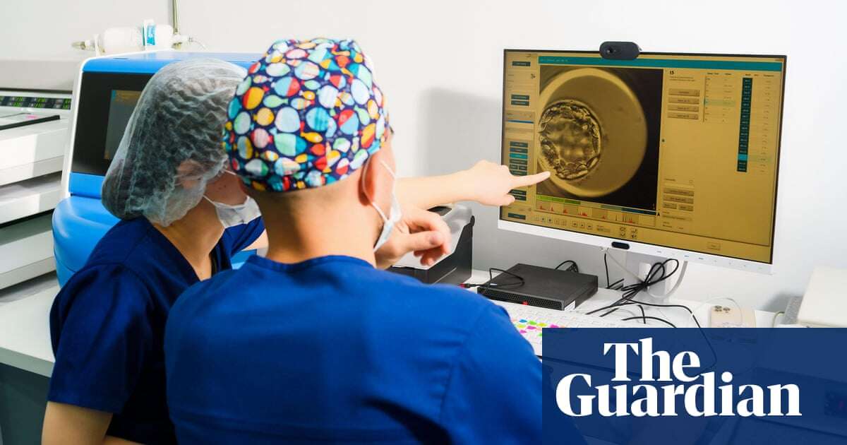 Limit on human embryo research should be extended to 28 days, says regulator