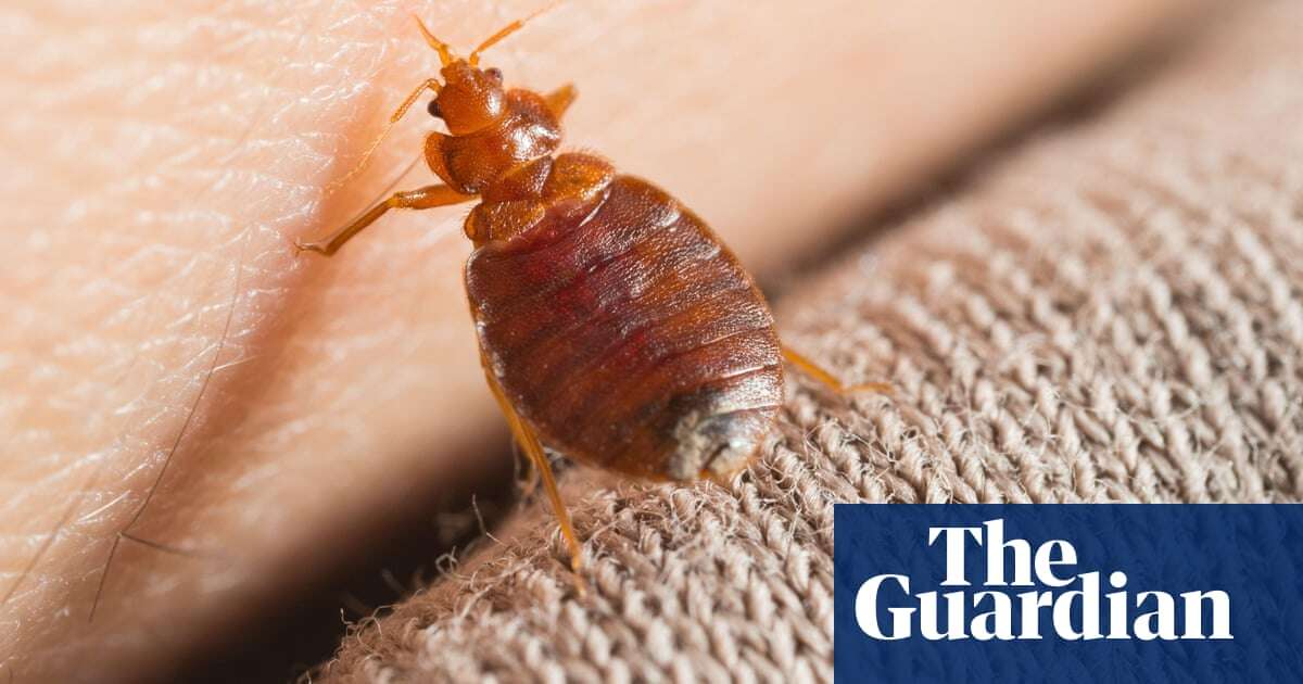 What’s really going on with Paris’s bedbug crisis? – podcast