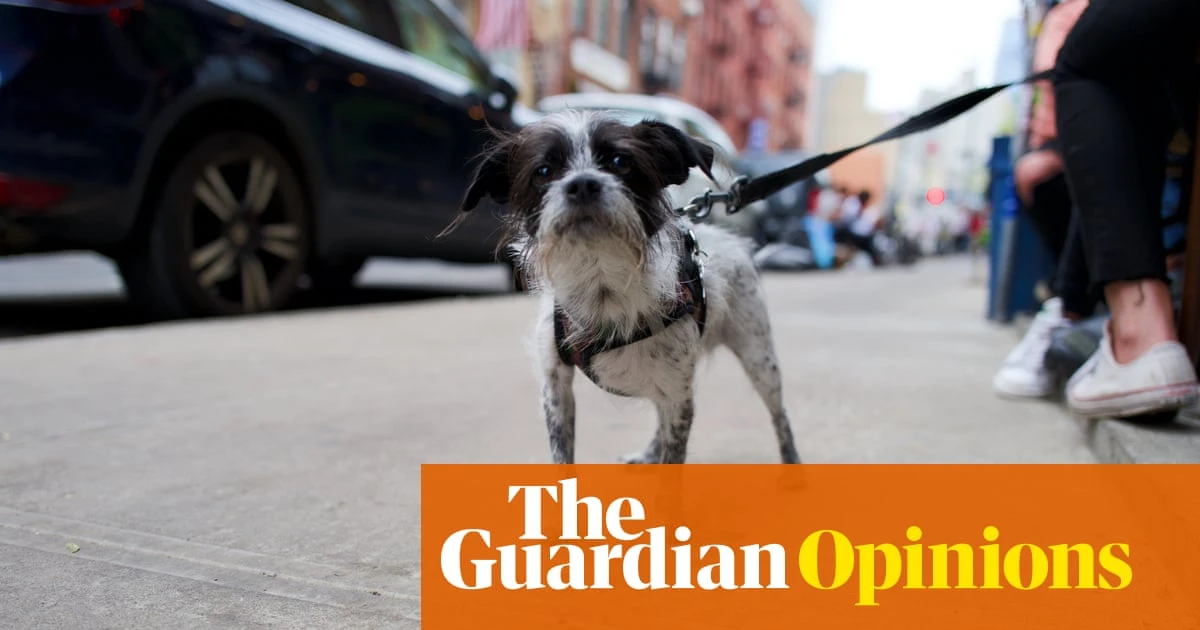 I live in the US and have a green card. If I leave the country, will I be allowed back in? | Arwa Mahdawi