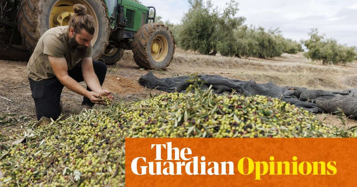 Soaring grocery prices helped Trump to victory. The climate crisis is only going to make this worse | James Meadway