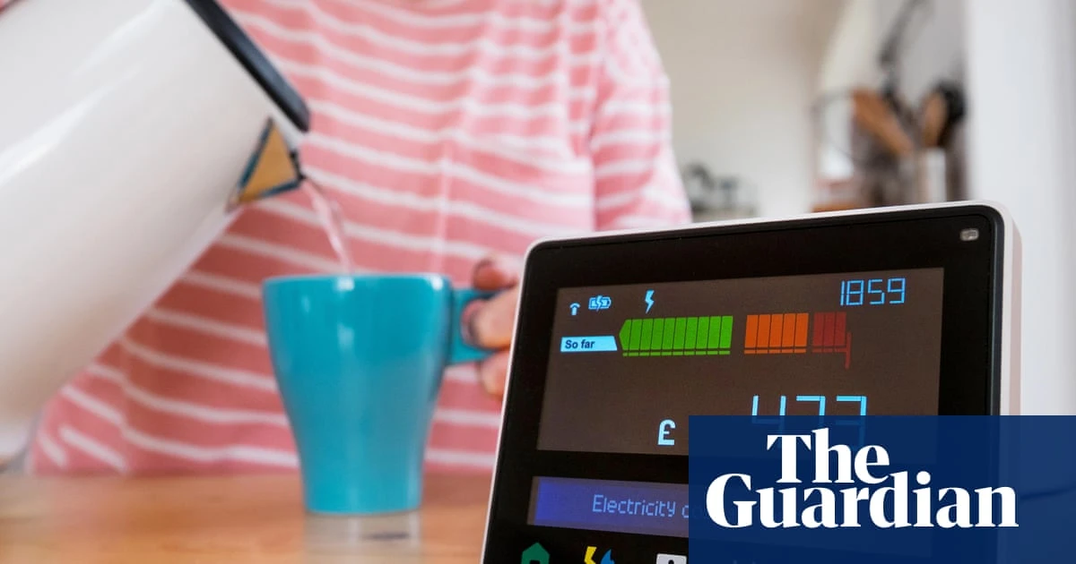 UK energy meter switch-off delayed amid fears over heating and higher bills