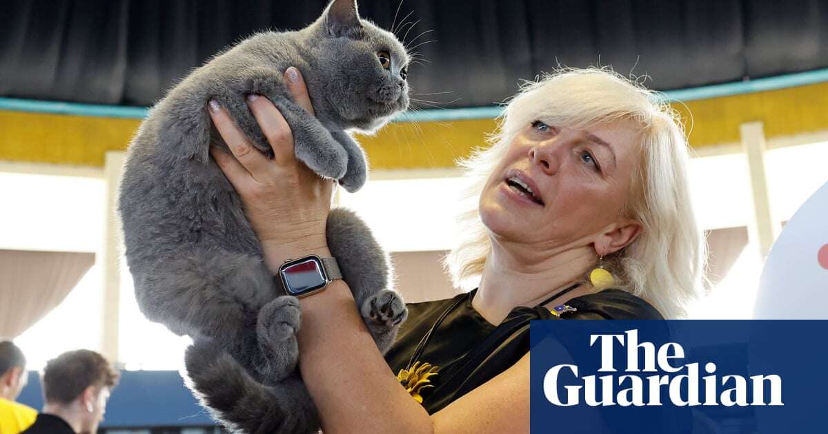 SofistiCAT 2024 international cat show – in pictures