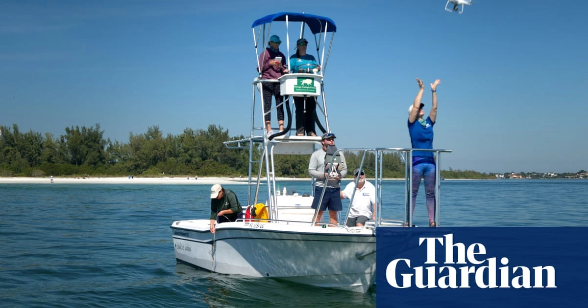 US scientists who deciphered dolphin whistles win prize for animal communication