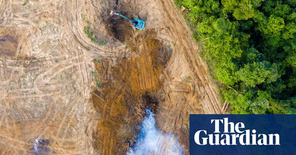 Deforestation ‘roaring back’ despite 140-country vow to end destruction